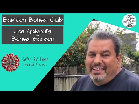Baikoen Bonsai Club Joe Galgoul Bonsai Garden March 2020