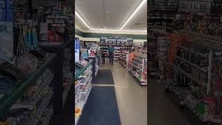 Video preview image #1 Bernedoodle Puppy For Sale in Polson, MT, USA