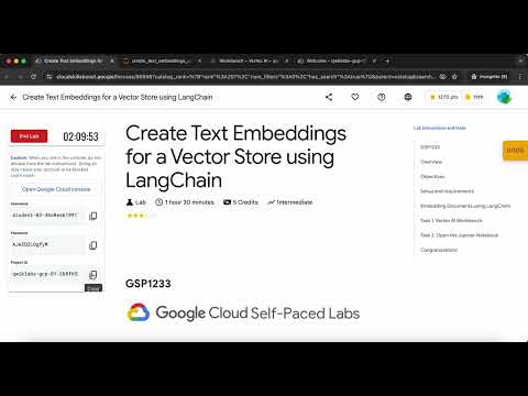 Create Text Embeddings for a Vector Store using LangChain GSP1233