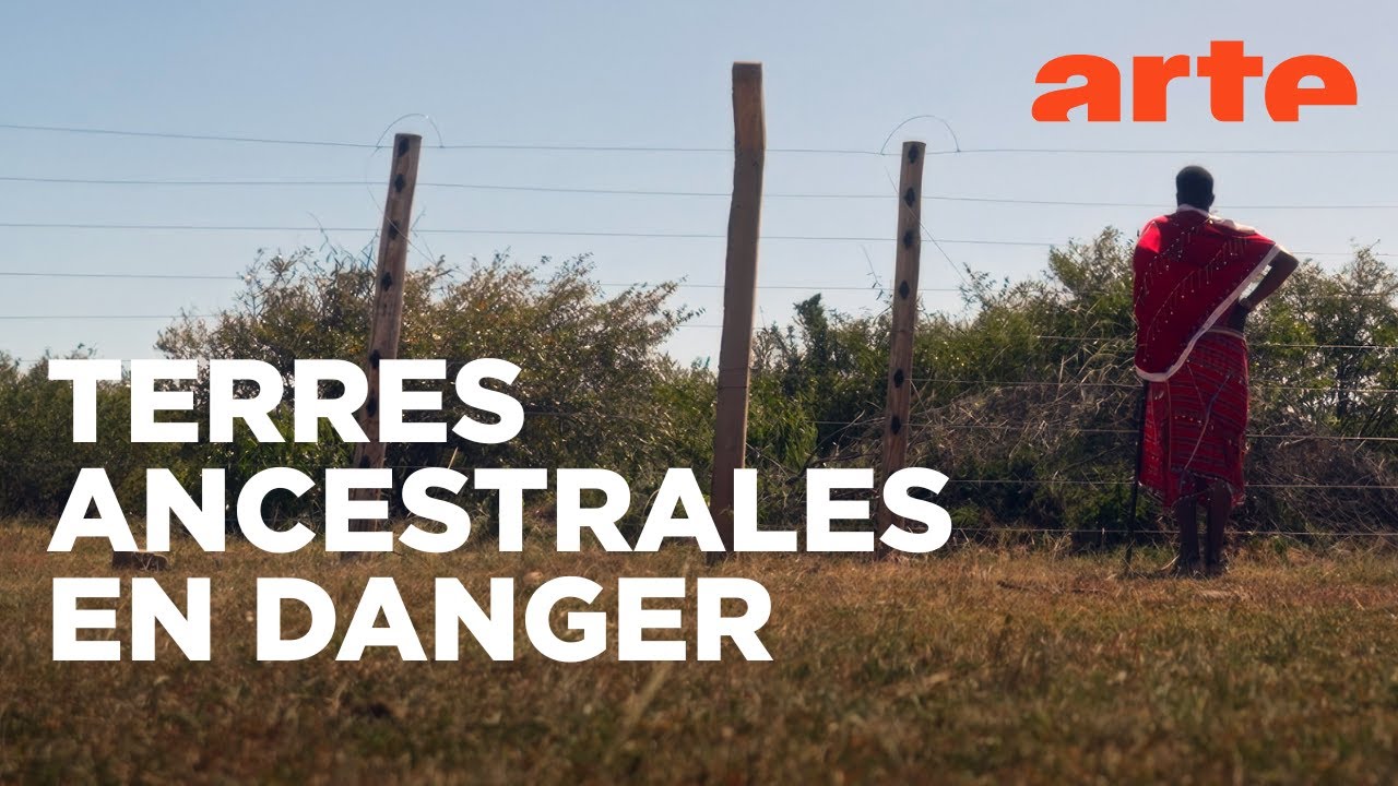 Kenya, la résistance des Massaï | Un jeune chef pour un grand défi | ARTE