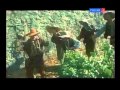 "Роман со временем" (Елена Камбурова) 