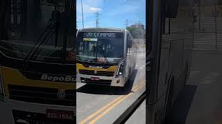 Ônibus do Upbus Qualibus em Transportes 3 5903