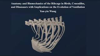 Anatomy and Biomechanics of the Ribcage in Birds, Crocodiles, and Dinosaurs