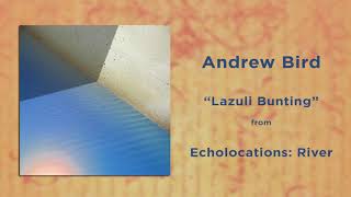 Andrew Bird - Lazuli Bunting | Echolocations: River | 2017 | HQ AUDIO