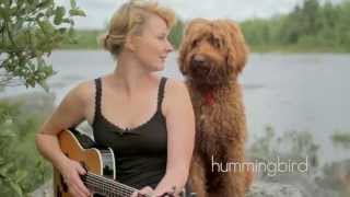 NOVA SCOTIA NATURE SESSIONS: Jenn Grant - Hummingbird