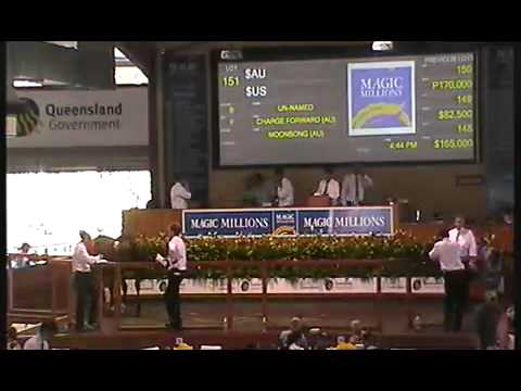 2012 Gold Coast Yearling Sale Lots 141 - 160