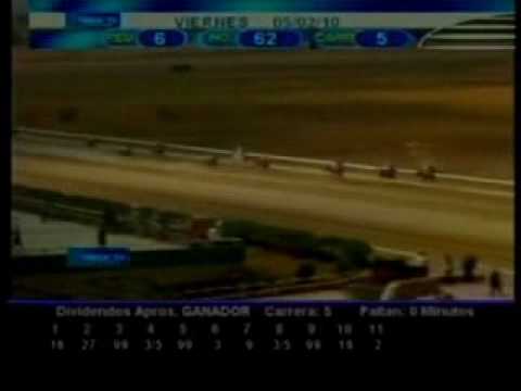 Resumen 5 de Febrero 2010 - Valencia