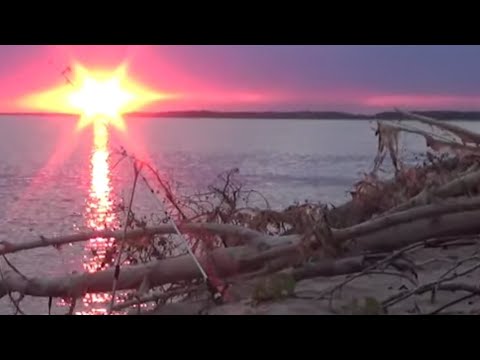ЗДЕСЬ ОЧЕНЬ МНОГО РЫБЫ. Рыбалка в Астрахани 2020. Волга сазан на жмых.