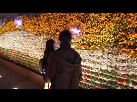 3d hologram fan for outside(whatsapp:+86 13128720987)