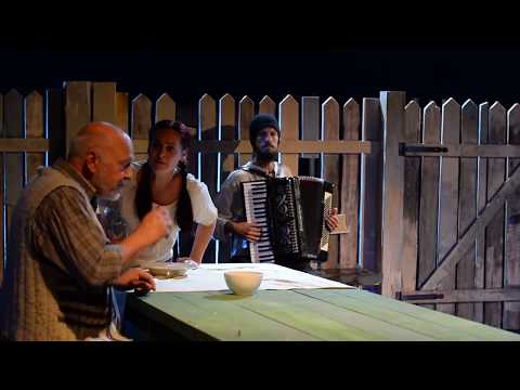 Domnisoara Nastasia - Promo Teatrul Clasic Arad