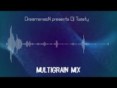 DreamensioN presents DJ Toasty - Universal Language 086 (Multigrain Mix)