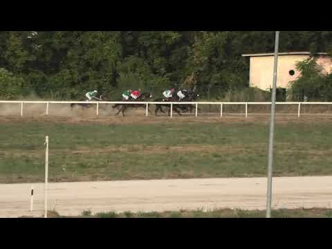 Trka "Tattersalls - Kostolac" 22.09.2019 Turn me on - Đorđe Perović