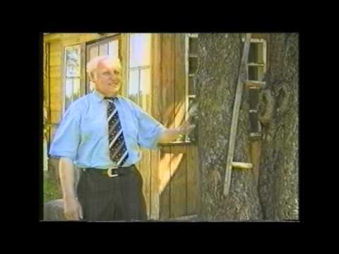 Muzikantas  Antanas  -  SODŽIUS -