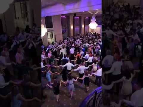 Nunta de vis cu formatia MODERN din Mioveni - tel:0741068162 / 0766751805