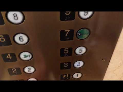 Otis Traction Local Elevators | Macy’s, State St | Chicago, IL