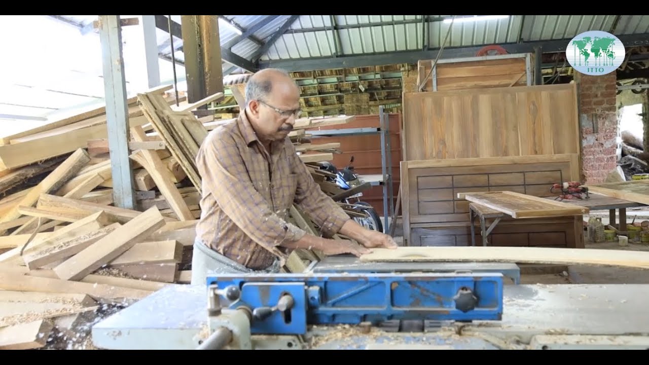 Teak, India’s royal tree grows through collaboration and silvicultural best practices