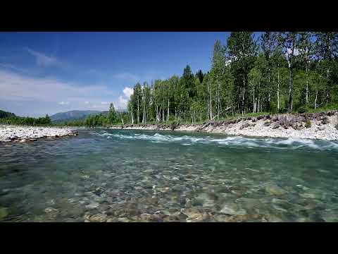 Siberia Relaxing Nature Sounds: 10 Hours of Birds Singing on the Lakeshore and Water Sounds