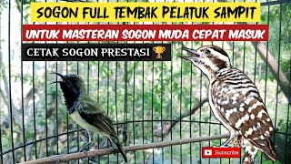 Download lagu PANCINGAN SOGON GACOR FULL TEMBAKAN PELATUK SAMPIT COCOK UNTUK MASTERAN SOGON BAHAN mp3