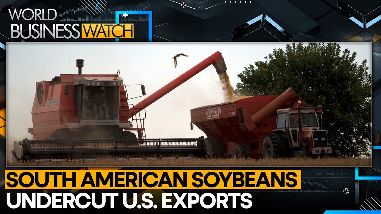 Trump Says China Will Resume US Soybean Buys Before Spring | WION Business Watch 2025