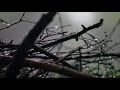 Kitaro - Aqua