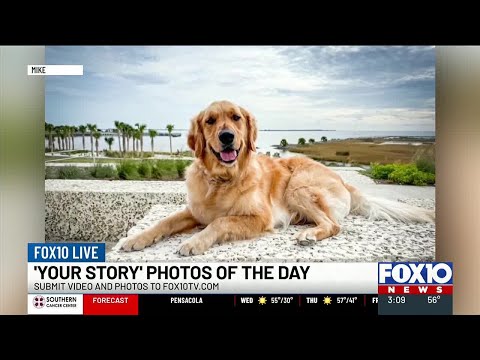 Ashlyn and Nicholas share ‘Your Story’ photos of the day