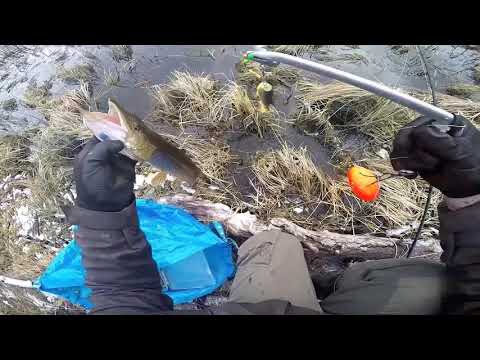 Hauen kalastusta ojalla