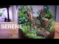 Serene Terrarium Scape Step By Step Tutorial