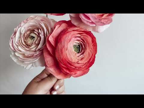 RANUNCULUS PAPER TUTORIAL RELEASE 2022 | PAPER RANUNCULUS TUTORIAL