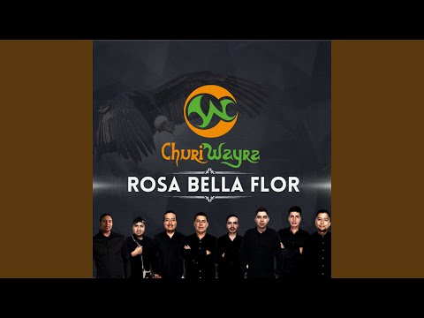 Rosa Bella Flor