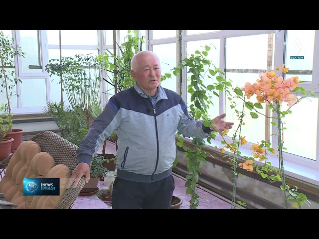 Exotic plants thrive in Kyzylorda