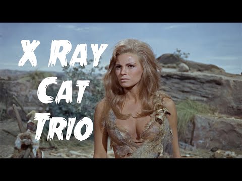 X Ray Cat Trio - Terrordactyl