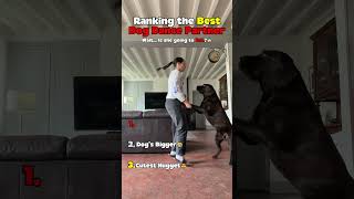 Best Dog Dance Partner🐶💃