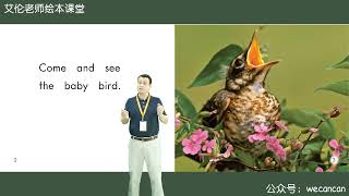 4. The Baby Animals - Grade K [Heinman] - Enghlish For Kids