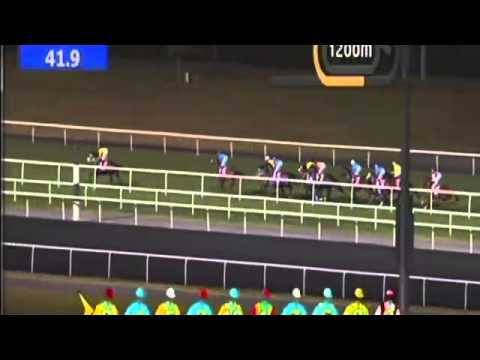 Watch Sajjhaa (King's Best) win the G1 Jebel Hatta at Meydan, Dubai, 2013
