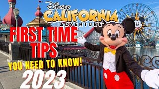 DISNEY CALIFORNIA ADVENTURE FIRST TIME TIPS | Everything YOU NEED TO KNOW And I mean EVERYTHING 2023