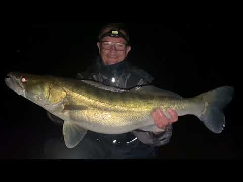 Zanderangeln im Dunkeln mit Wobbler