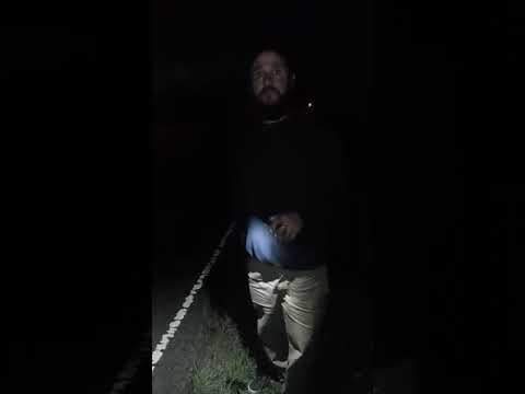 Ruta 250 de Río Negro: chocan contra jabalíes y se salvan de milagro