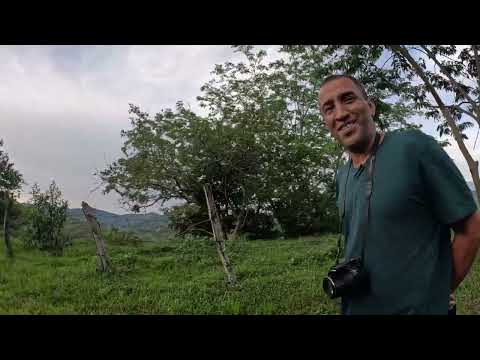 LUGARES - SAN JERÓNIMO 1 PARTE  (2T - 23)