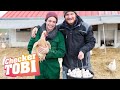 Der Eier Check Reportage Für Kinder Checker Tobi