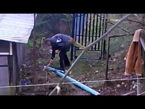 Wild Pole fights with the aggresive pipe, with an axe