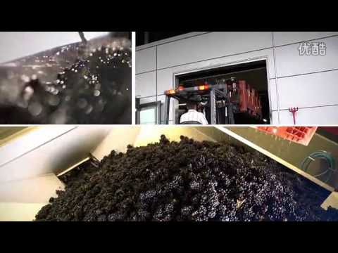 Beaujolais Nouveau Georges Duboeuf