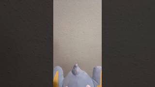 Új szerzemény ✨✨✨#pokemon #pokemoncards #pokemontcg #pokémon #pokémontcg #pokemonplush