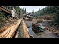 Incredible Logging Firewood Processing Machines In Action