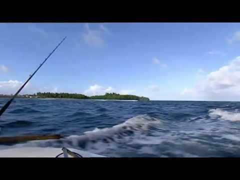 Blues del Pescador (The Waterboys- letra en Español)