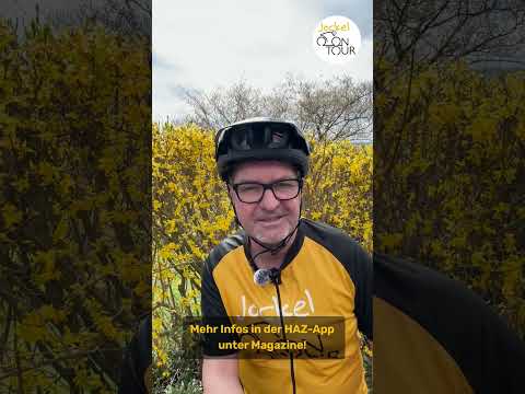 Jockel on Tour - Schellerten