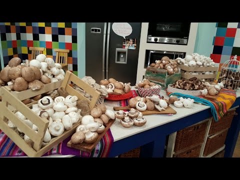 Todo sobre los hongos por Martín Pautaso