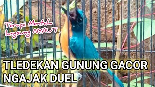 Download lagu TLEDEKAN GUNUNG GACOR NGAJAK DUEL || pancingan tledekan gunung bermental fighter mp3 Download lagu TLEDEKAN GUNUNG GACOR NGAJAK DUEL || pancingan tledekan gunung bermental fighter mp3