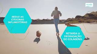 linha equaliv
