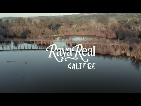 Raya Real - Salitre (Videoclip Oficial)