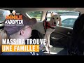 Massira trouve une famille - Animaux à adopter